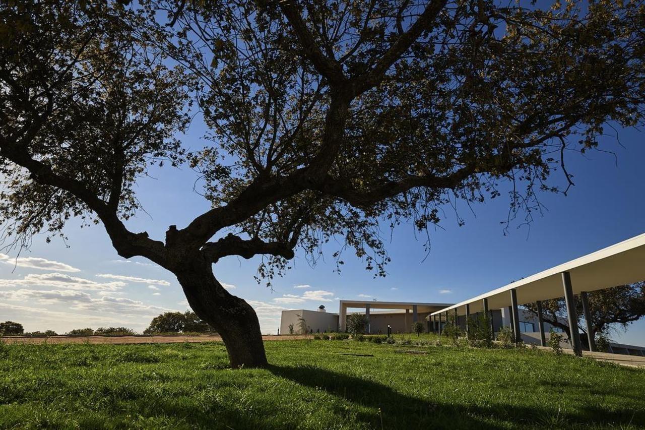 Herdade Dos Delgados Mourão Exteriér fotografie